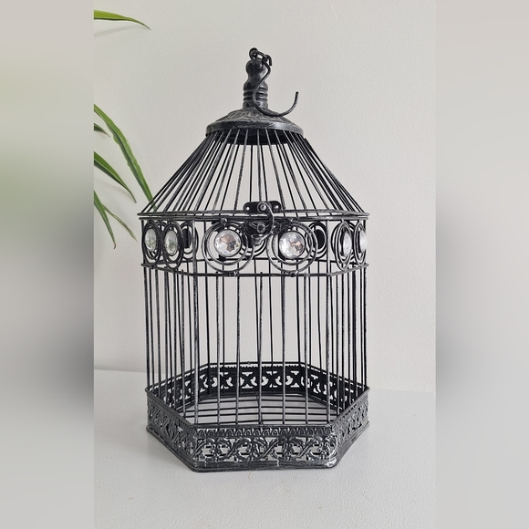 Hexagonal iron cage - Picture 1 of 14